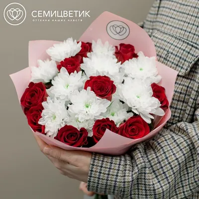 Букет из 3 белых кустовых хризантем и 10 красных роз в розовой упаковке  купить в СПб в интернет-магазине Семицветик✿