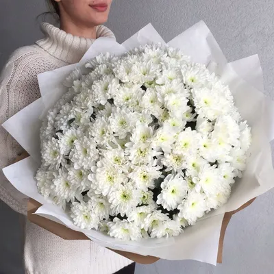 Букет 283 Хризантемы белые - Цветы.PRO