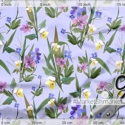 Нежные Белые Цветы Растущие Лугу Полевые Цветы Крупный План — Бесплатное  стоковое фото © Stylish_Pics #251132962