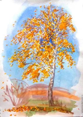 Осенняя береза рисунок - 72 фото