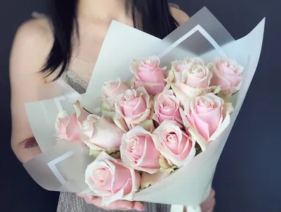 Цветы розы бело розовые - фото и картинки: 63 штук