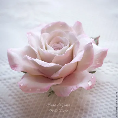 Букет из 25 белых и бледно-розовых Роз