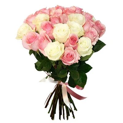 Букет из 25 бледно-розовых роз ‒ купить в салоне цветов Fresa