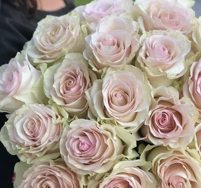 Букет из 51 бледно-розовой розы ‒ купить в салоне цветов Fresa
