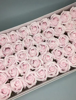 Розы розовые фон (247 фото) » ФОНОВАЯ ГАЛЕРЕЯ КАТЕРИНЫ АСКВИТ