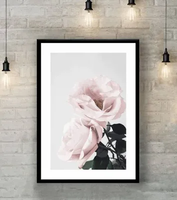 розовые розы, пляжная роза евклидова роза, бледно-розовая роза, аранжировка  цветов, текстиль, плакат png | PNGWing