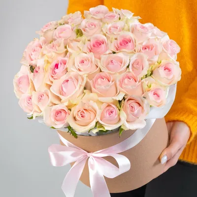 Роза Sovereign бледно-розовый 1 шт купить в Бишкеке, Кыргызстан