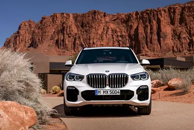 Новый BMW X5 купить у официальных дилеров в Минске и Беларуси: цены,  характеристики, фото на Domkrat.by