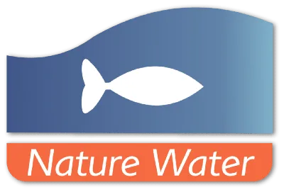 Сапролегниоз рыб: лечение в аквариуме, фото-видео обзор