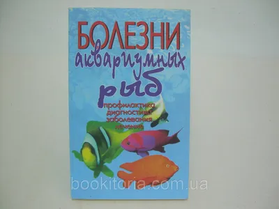 Конго Tetra, доминирующий самец вида популярного Aquatrade декоративный,  эндемического болезни бассейна Конго африканца, Characin Стоковое Фото -  изображение насчитывающей рыбы, эндемично: 197517470