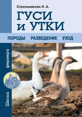 Гуси и утки: породы, разведение, уход - интернет магазин Подворье