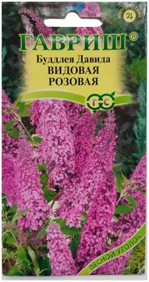 Семена. Буддлея \"Давида\" видовая, розовая (вес: 0,1 г) — купить в  интернет-магазине по низкой цене на Яндекс Маркете