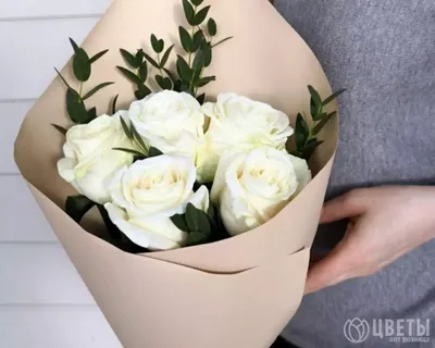 Букет из 5 белых роз эквадор 60 см с зеленью в упаковке купить в Барнауле с  доставкой | Розы недорого оптом розница