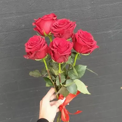 Купить Букет из 5 роз в Москве недорого с доставкой