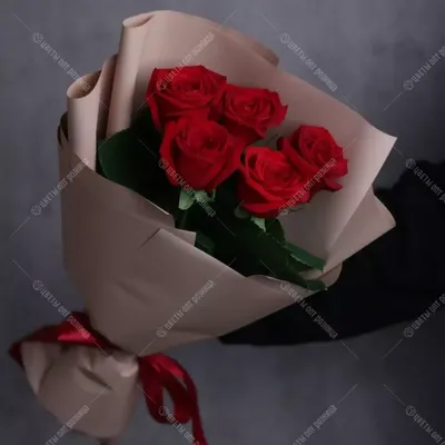 Букет из 5 красных роз эквадор 60 см в упаковке купить в Барнауле с  доставкой | Розы недорого оптом розница