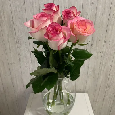 Купить букет из 5 розовых роз в Пензе, российские розы
