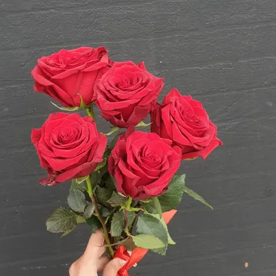 Букет из 5 красных роз с лентой с доставкой в Новосибирске. Служба доставки  цветов и подарков - FLO365