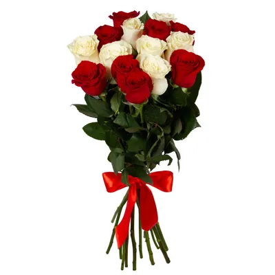 Букет \"Из красных и белых роз\" с доставкой в Удельной — Фло-Алло.Ру, свежие  цветы с бесплатной доставкой