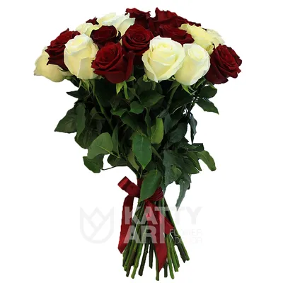 Заказать Розы | Букет из белых и красных роз 60см (Эквадор) 75шт. с  бесплатной доставкой | Katty Art Flowers