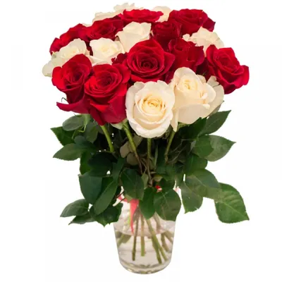 Букет из белых и красных роз (ЭКВАДОР) купить с доставкой в Пушкине и СПб:  цена, фото, описание - «ChocoRose»