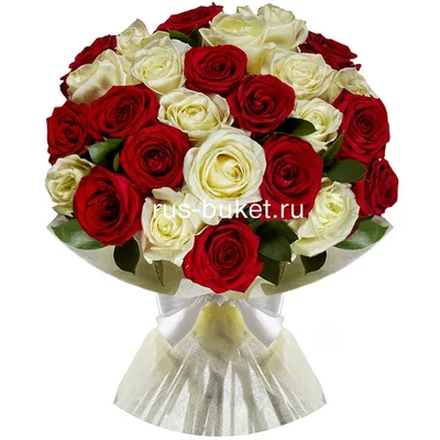 Букет из 25 красных и белых роз Эквадор» - купить в Орле за 8 460 руб