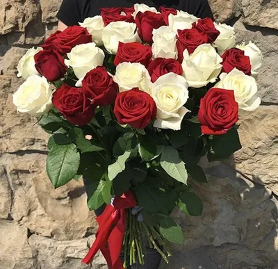 Красные и белые розы 70 см с доставкой цветов