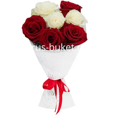 Букет из 7 красных и белых роз Эквадор» - купить в Одинцово за 2 180 руб