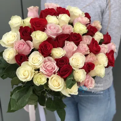 Букет из красных, белых и розовых роз Бабочки заказать и купить за 3 620 ₽  ₽ c доставкой в Сочи, Адлер, Красную поляну | Фото, отзывы, цены