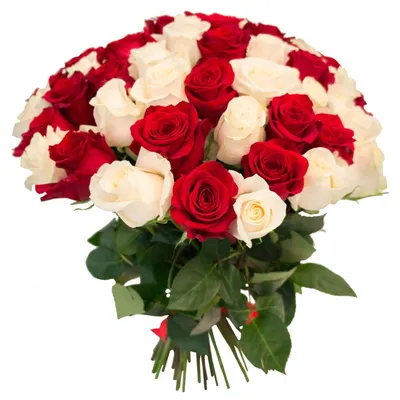 55 красных и белых роз по цене 16760 ₽ - купить в RoseMarkt с доставкой по  Санкт-Петербургу