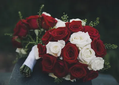 Розы красные и белые - 68 фото