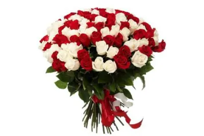 Букет 95 роз микс. Букет белые розы + красные розы. Роза 50 см. (Эквадор)