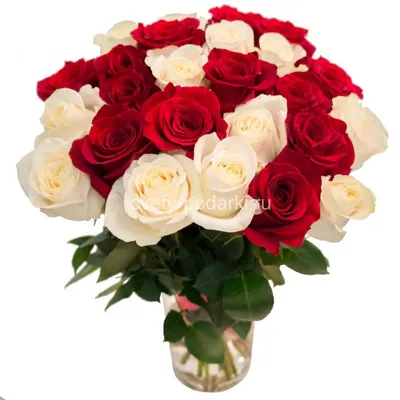 Букет цветов «25 красных и белых роз» заказать с доставкой по цене 6 860  руб. в Ставрополе