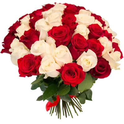 65 красных и белых роз по цене 19320 ₽ - купить в RoseMarkt с доставкой по  Санкт-Петербургу