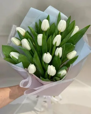 Букет из 15 белых тюльпанов