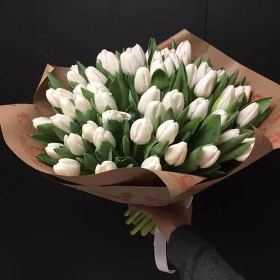 Купить белые тюльпаны с доставкой в Москве недорого - Roses Delivery