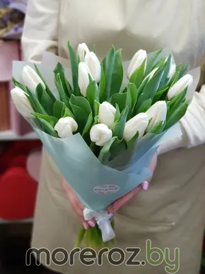 15 белых тюльпанов • MoreRoz.By Доставка по Минску