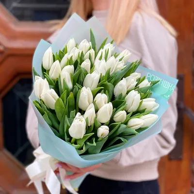 Букет из 35 белых тюльпанов «Утренняя улыбка» цена 3 150 грн купить букет с  доставкой по Львову - Kvitna - Тюльпан Белый