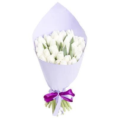 Букет из 35 белых тюльпанов - купить в Москве по цене 6990 р - Magic Flower