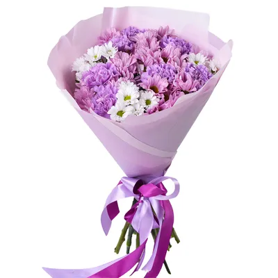 Букет из гвоздик и разноцветных хризантем - купить в Москве по цене 4990 р  - Magic Flower