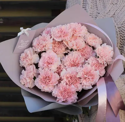 Купить букет из 19 розовых гвоздик по доступной цене с доставкой в Москве и  области в интернет-магазине Город Букетов