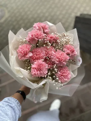 Заказать цветы Букет из гвоздики с доставкой по Беларуси | Happybee.by