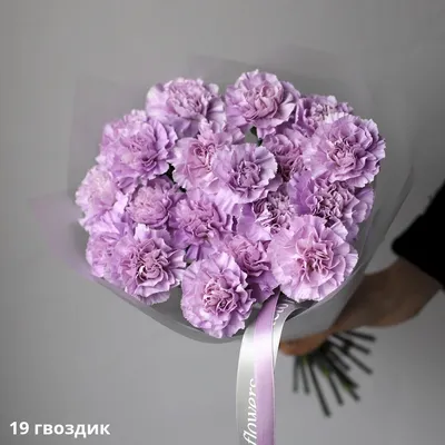 Букет из сиреневых гвоздик - заказать доставку цветов в Москве от Leto  Flowers