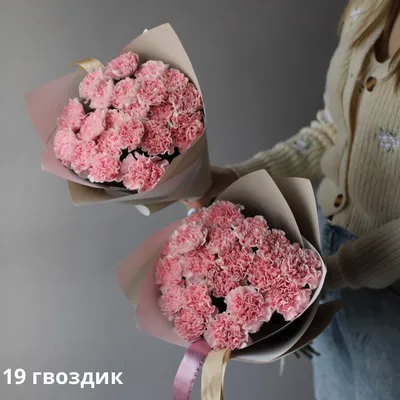 Букет из нежно-розовых гвоздик - заказать доставку цветов в Москве от Leto  Flowers