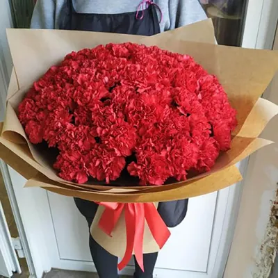 51 красная гвоздика в букете | Бесплатная доставка цветов по Москве