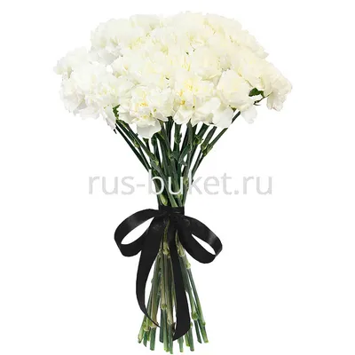 Букет «Гвоздики белые» с гвоздиками - купить в Новосибирске за 2 700 руб