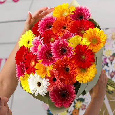 Букет из 25 гербер микс - Доставка цветов в Санкт-Петербурге | Весна - сеть  цветочных магазинов