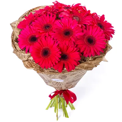 Букет из 11 красных гербер - купить в Москве по цене 2690 р - Magic Flower