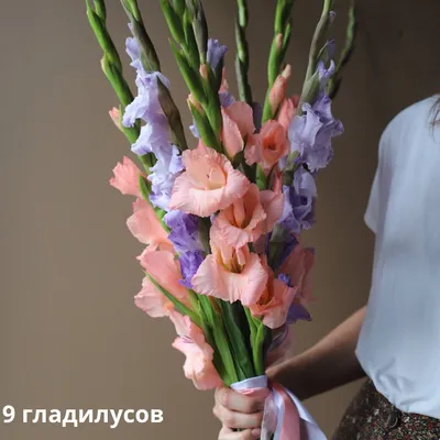 Букет из гладиолусов двух цветов - заказать доставку цветов в Москве от  Leto Flowers