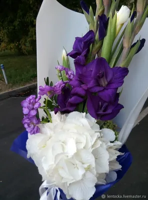 Букет из Гладиолусов.Цвет на выбор. Живые цветы – купить на Ярмарке  Мастеров – ORK1QRU | Букеты, Москва