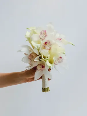 Все букеты \u003e Свадебный букет из калл и орхидеи WHITE CHOCOLATE купить в  интернет-магазине
